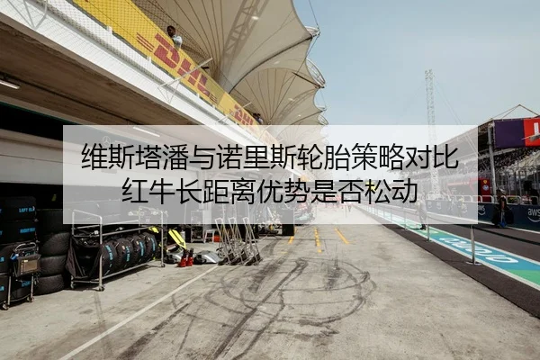 维斯塔潘与诺里斯轮胎策略对比 红牛长距离优势是否松动